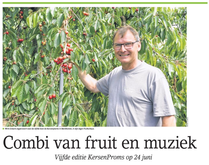 Combi van fruit en muziek